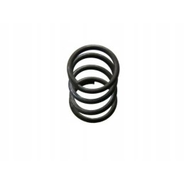 Spring 5060020290 bison