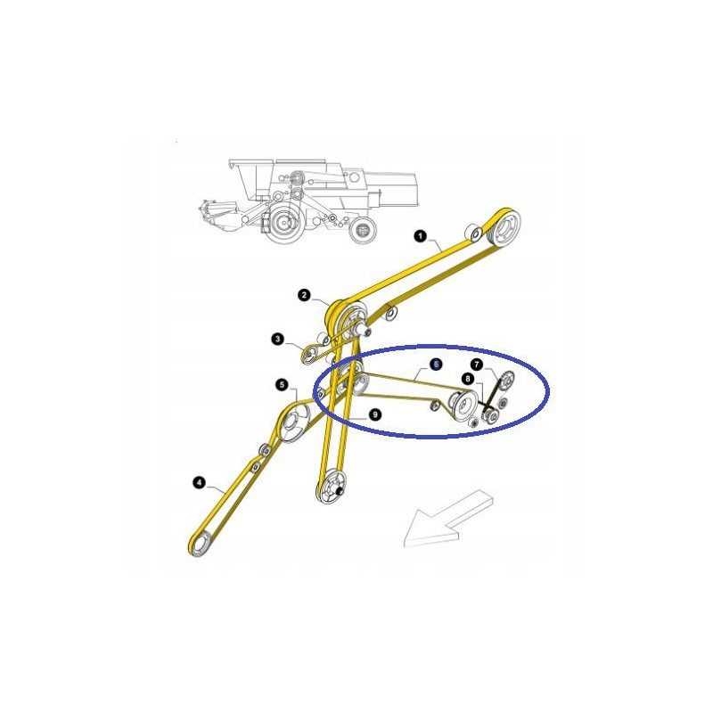 V-belt 448794 case new holland cnh