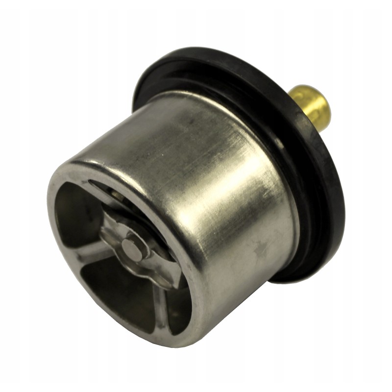 Water temperature controller for cat charger