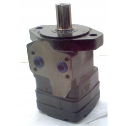 Hydraulic motor wrs080606