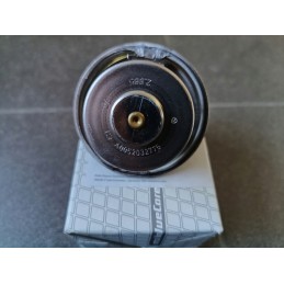Thermostat mtu 0052032775