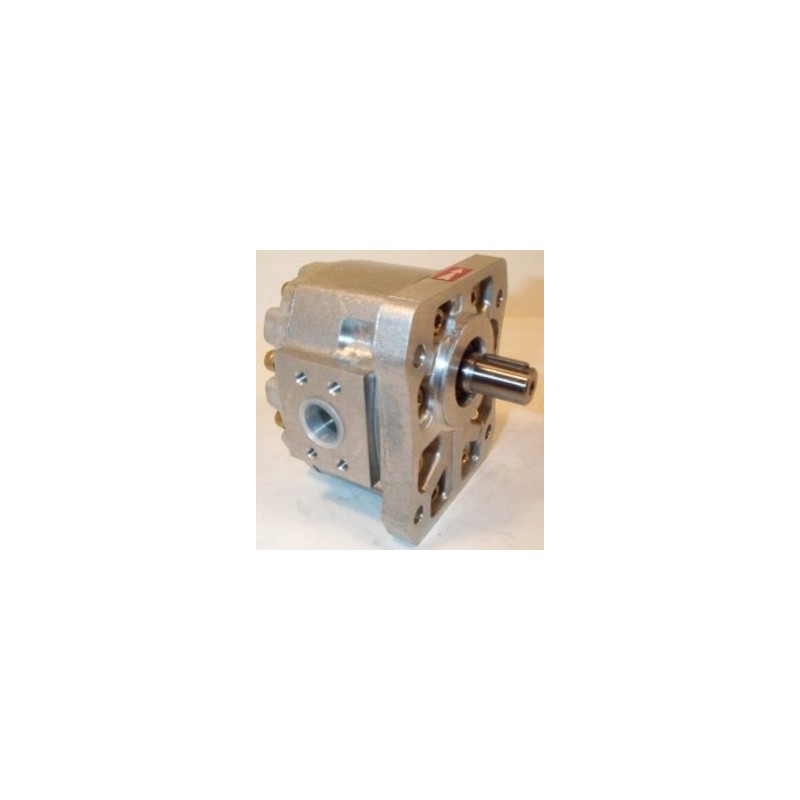 P1cbn1004cl10b01 hydraulic pump