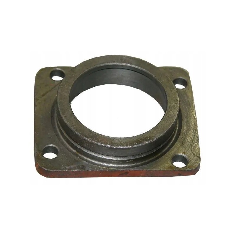 Bison bearing housing