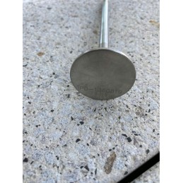 Exhaust valve 1360819 cat 3116 3126 engine