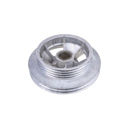 100173032 Straw Scatter Pulley Rostselmash