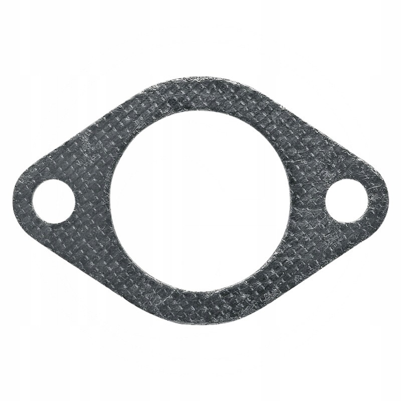 Manifold gasket on the head 38012429