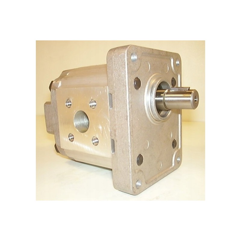 Hydraulic motor 1mr019rldbrn