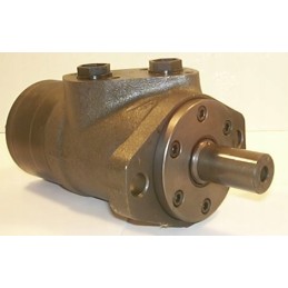 Wmpp300 hydraulic motor