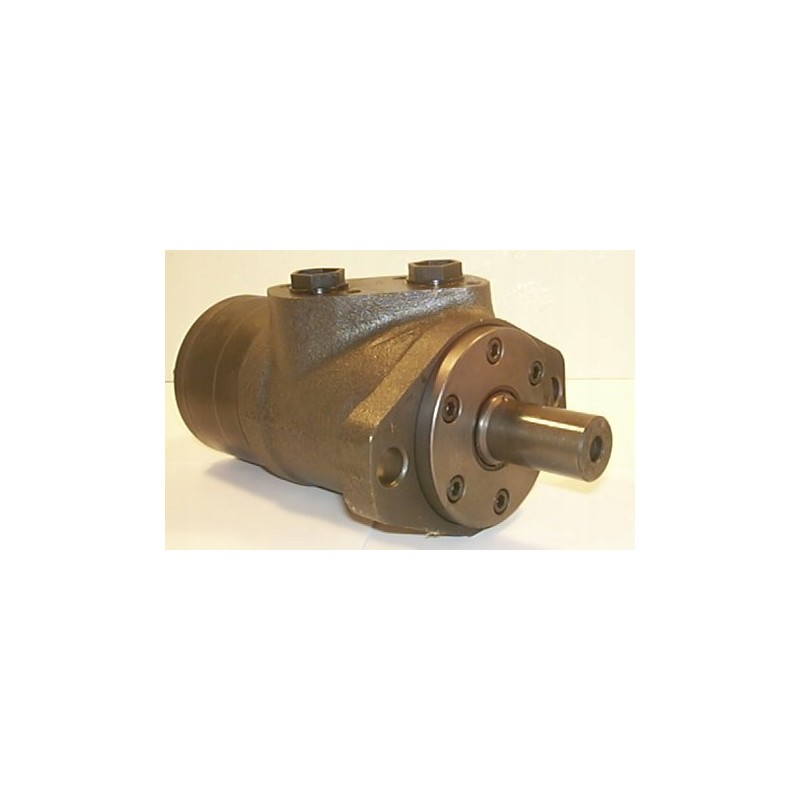 Wmpp300 hydraulic motor
