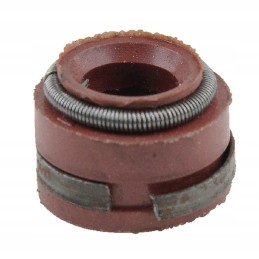 The sealing ring fits the Belarus