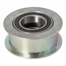 Epsilon chain roller, 2 extensions