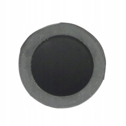 Bison Ursus starter button cover