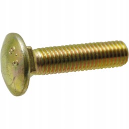 Lift carriage bolt lanu new holland 80374892