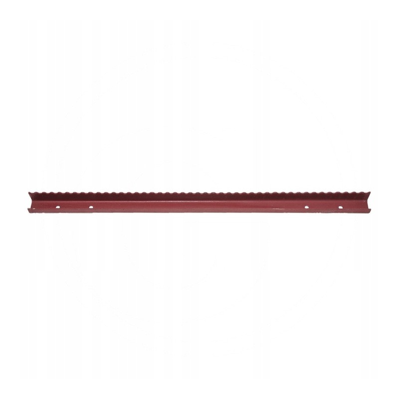 Bizon inclined conveyor strip