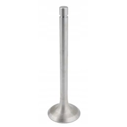 The intake valve fits Belarus