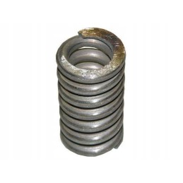 Bison Motogene overload clutch spring