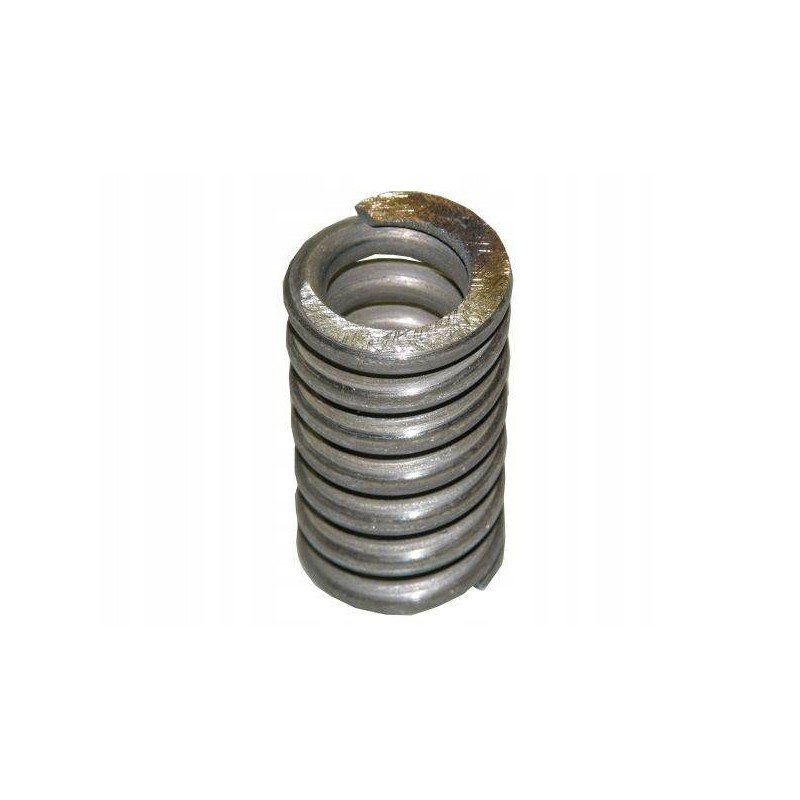 Bison Motogene overload clutch spring
