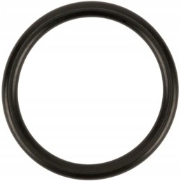 Sealing ring d31 34 rif 4125