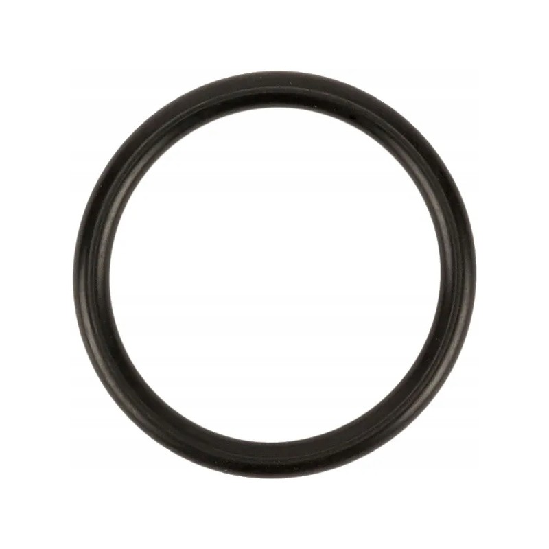 Sealing ring d31 34 rif 4125