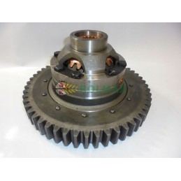 Differential gear 5040240771 bison complete