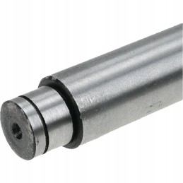 Accelerator piston motorbison 5040031720