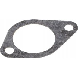 Case Steyr gasket