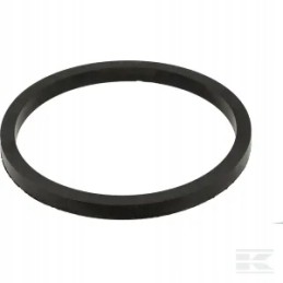 Fuel filter gasket