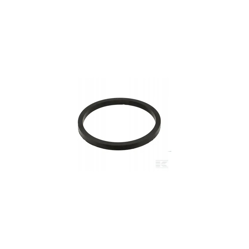 Fuel filter gasket