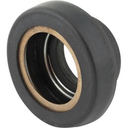 Water pump repair kit