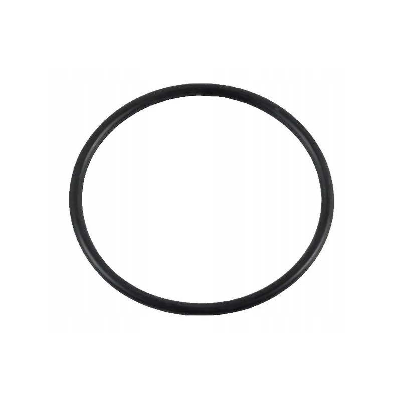 Sealing ring 14458180