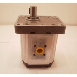 1px 22 0cc rev hydraulic gear pump