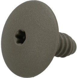 Plastic screw