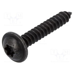 1 pcg x ROMIX - 59224 - Screw, 100pcs, 25mm, steel, black, Thread: 4,2