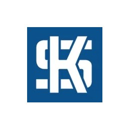 Kolbenschmidt cylinder set