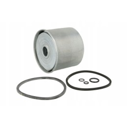 Bizon Plock fuel filter wp403x wp40 3x