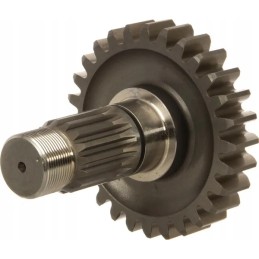 The shaft ends with a pinion