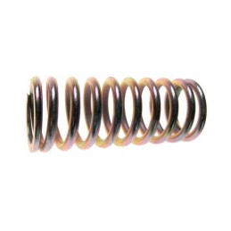 C 385 motogeneric clutch pressure spring