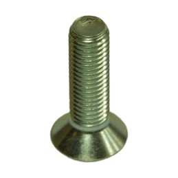 Manitou screw 177343