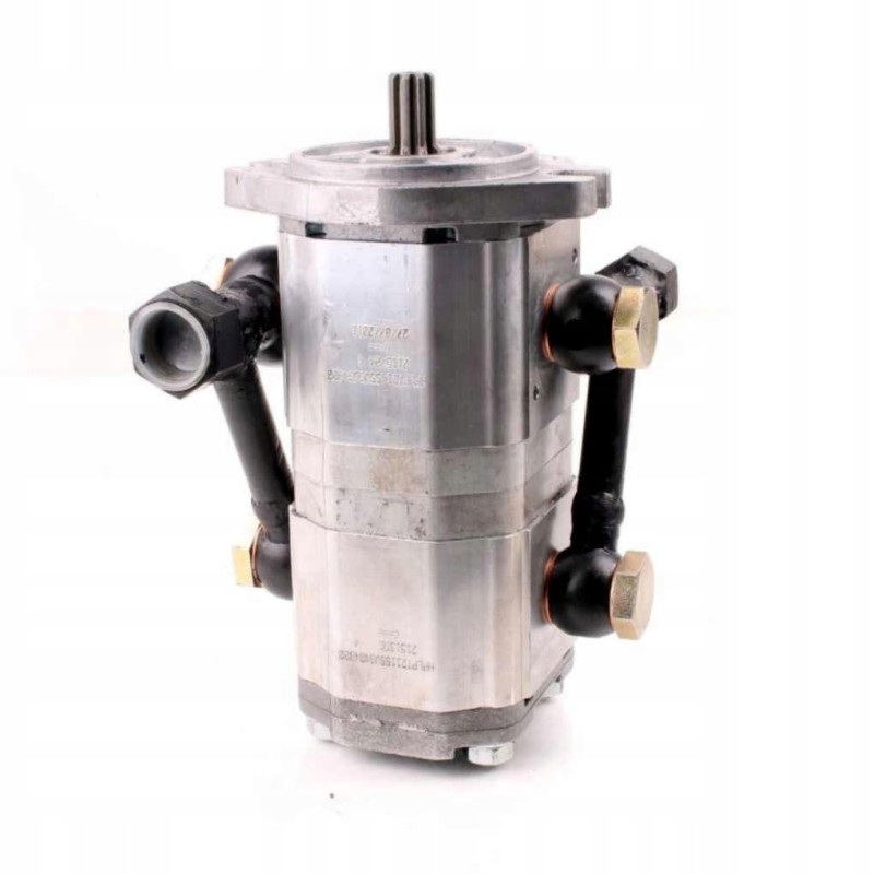 Double gear pump 214 211