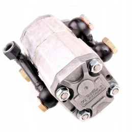 Double gear pump 214 211