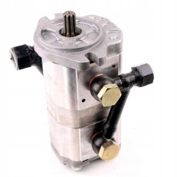 Double gear pump 214 211