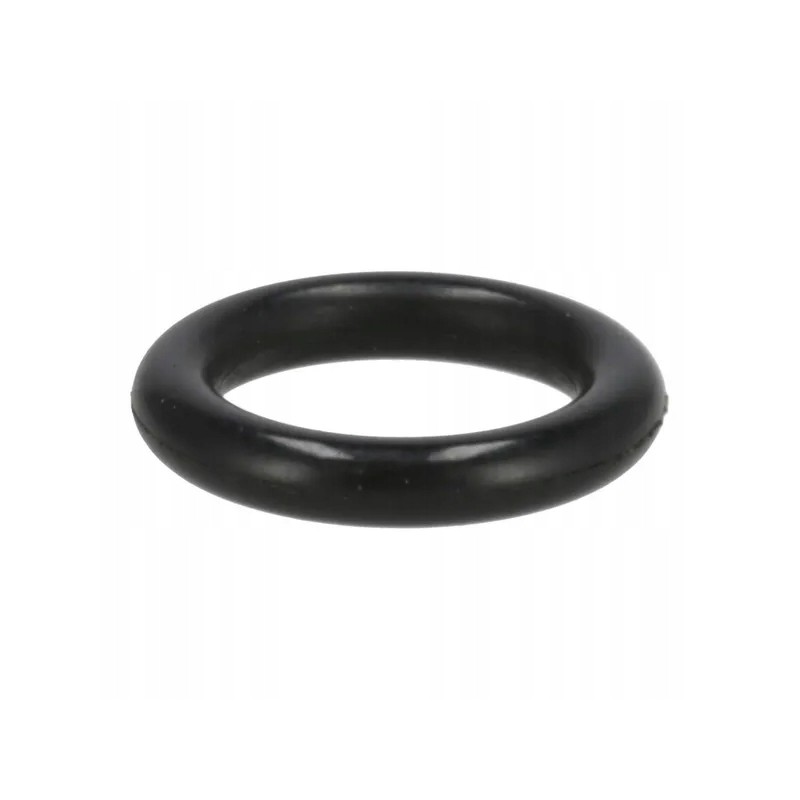 Oil seal 1170198