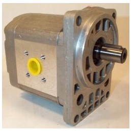 Schmidt hydraulic gear motor