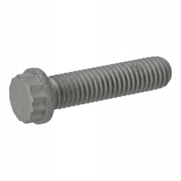 Flange head screw