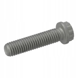Flange head screw