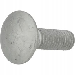 Mushroom head screw
