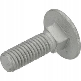 Mushroom head screw
