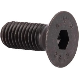 Screw 16060442 Kramp