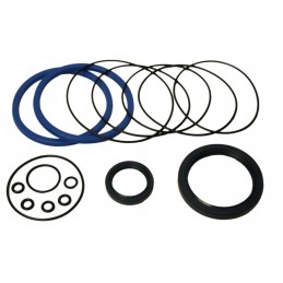 Old type C 385 servo seal set