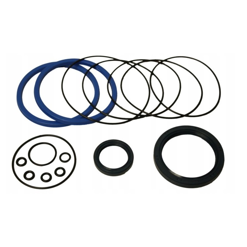 Old type C 385 servo seal set